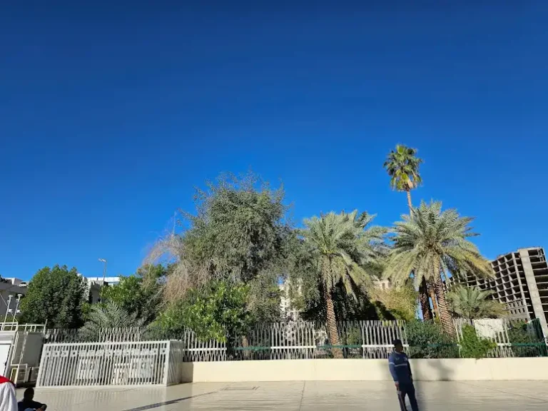 beni saide gölgeliği